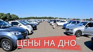 ЛЕТО ️ КИЕВ НОВЫЕ ЦЕНЫ АВТОБАЗАР - ПРОБУЕМ ПРИНЯТЬ