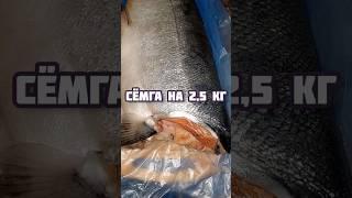 #Сёмга на 2,5 кг и нож #сантоку  #shortvideo #shorts