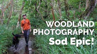 Enjoy Woodland Photography and Sod Epic!