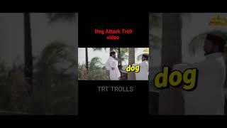 Dog Attack Funny Troll video 