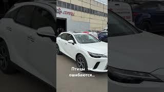 Птицы не ошибаются:)