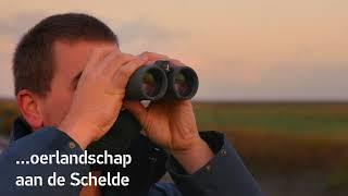 Verdronken land van Saeftinghe, Geopark Schelde Delta