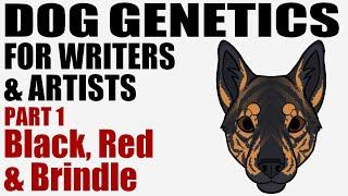 Dog Genetics for Writers & Artists part 1: Black, Red, & Brindle [CC]