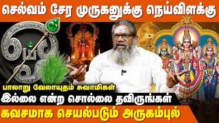 ஓம் சரவண பவ எனும் ஒரு மந்திரம் போதும் - Palaru Swamigal | Valviyal Pariharam | Porulathara Pariharam