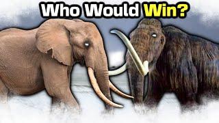 ELEPHANT vs WOOLLY MAMMOTH - Who Wins?