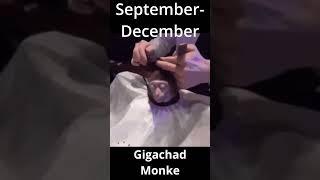 Your Month, Your Monke