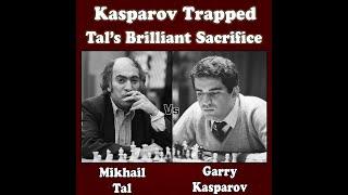 Mikhail Tal vs Garry Kasparov 1978 | Wow !!! Tal trapped Kasparov