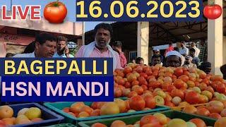 16.06.2023 bagepalli tomota market #bagepalli #tomatomarket #bagepalli # Bagepalli tomota market
