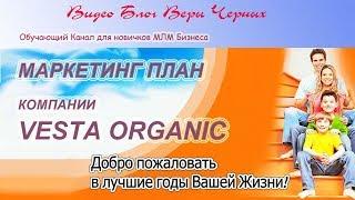 Маркетинг План компании Веста Органик/Vesta Organic