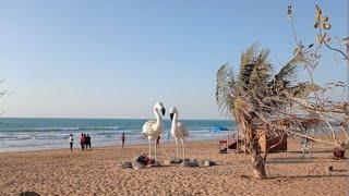 Flamingo Beach Ras al khaimah