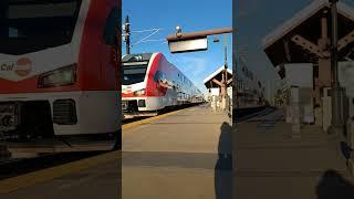 Speeding New Caltrain #caltrain #shortvideo