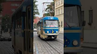Prague Nightjet Tram  #tram #train #travel #rail #fun #funny #prague #tourism #silly #laugh