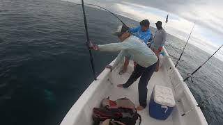 Long fight but Nathan catches a big Jack with Adam Fisk in Los Buzos