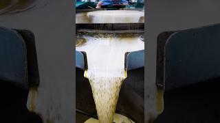 6YL-195 screw oil press machine to cold press sunflower oil for Africa customer #oilpress #machine