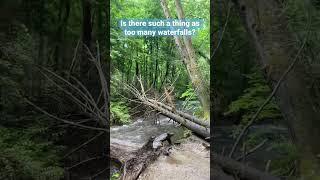 See the Most Beautiful Waterfalls in Tennessee – Cataract Falls!