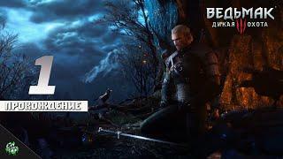 Прохождение: The Witcher 3: Wild Hunt — Начало приключений: Геральта из Ривии [#1]