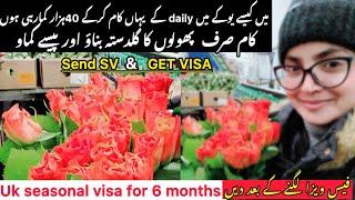 Uk seasonal work visa|how to apply for work visa in uk  from Pakistan fativibes with ukuk #europe