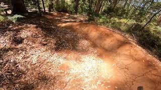 #Pemberton Mountain Bike Park Cool Running