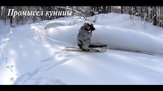 Промысел куницы// Обход путика Urnis Fishing//Hiking in the hunting area