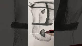 Horse pencil sketch @SA creation