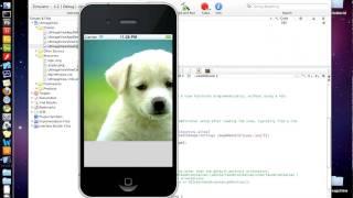 1.2 Add images to a view UIImageView -  iPhone SDK Tutorial xcode