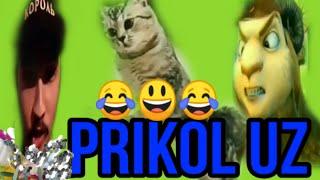 #Tiktok#telgram#kochajanglar#prikolar   энг зур узбек прикolar #11 uzbek prikol 2019