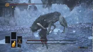 DS III [DLC] Ashes of Ariandel [Битва против хранителей могилы]