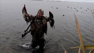 Охота на раскатах в Астраханской области, Фильм 3, Осень 2018, GoPro Hero 6, Duck Hunting Russia