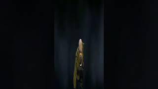 #devil_gamer #rj #rj_gamer  #6862 #Rj_gamer #rj_devil #devil #gamer #free_fire #Rj_devil_gamer