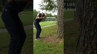 Can you get free relief from a tree root? Here's what you need to know about this rule of #golf 