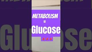 glucose metabolism #carbohydratemetabolism #biochemistry #carbohydrate #carbohydrates #shorts #meta