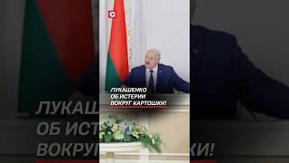 Лукашенко об истерии вокруг картошки! #лукашенко #политика #новости #беларусь #батька #президент