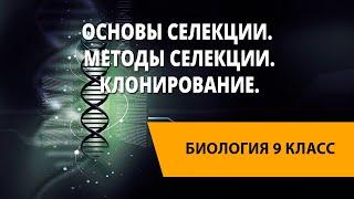 Основы селекции. Методы селекции. Биотехнология: достижения и перспективы развития. Клонирование