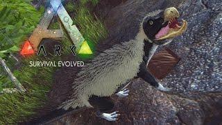 Пегомастакс и Троодон (Patch 253.0)  Ark: Survival Evolved #37