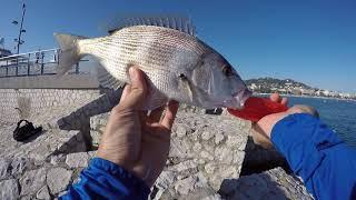 Fishing For Barracudas & Saltwater Fish in the French Riviera Mediterranean Sea!