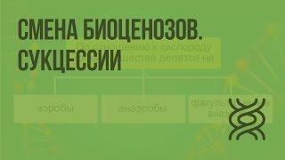 Смена биоценозов. Сукцессии. Видеоурок по биологии 11 класс