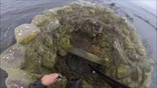 "You'll shoot no ducks lying in bed!" Duck Shooting Wildfowling Waterfowling Lough Neagh Ireland.