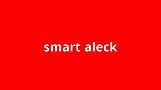 what is the meaning of smart aleck