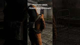 S.T.A.L.K.E.R. - Падший Бог: Плохой эпилог. Новинка 2023