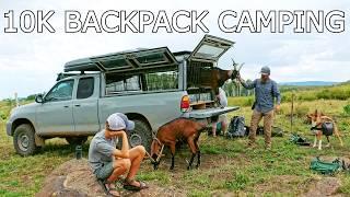 Wilderness Backpack Tarp Camping with Pack Goats. Trout Fish Tacos! & Firebox Nano Stove Cooking.