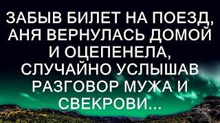 Забыв билет на поезд, Аня вернулась домой и оцепенела, случайно услышав разговор мужа и свекрови...