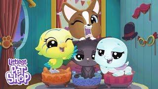 Littlest Pet Shop: A World of Our Own ‘Welcome to Paw-Tucket’  Season 1 Official Trailer