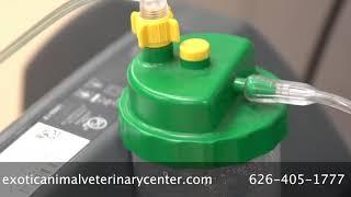 Welcome to Exotic Animal Veterinary Center