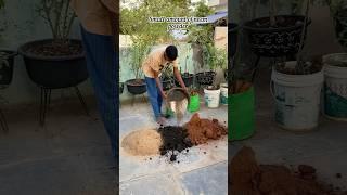 Preparing potting mix for adenium plant