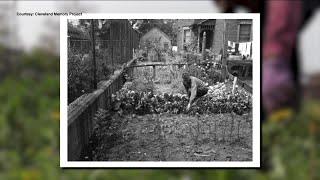 'Victory Gardens,' once a wartime program to produce local food, growing again in Northeast Ohio