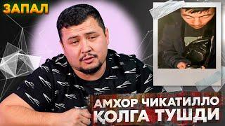 АМХОР ЧИКАТИЛЛО ҚОЛГА ТУШДИ