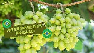 Why these grapes are so successful in Brazil? #arravarieties