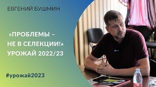 Почему мы недобрали урожай пшеницы? Агроном Евгений Бушмин: «Проблемы – не в селекции!»