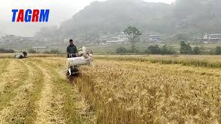 Nanning TAGRM 4LZ-1.0A mini wheat combine harvester