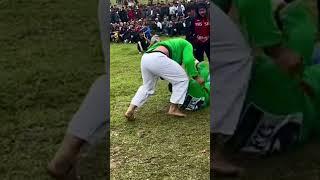 Shakarmamad Mirmamadov ️ #music #beats #remix #pamir #tajikistan #gushtin #judo #sambo #mma
